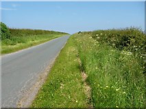 TA1471 : Grindale Road, National Cycle Route No. 1 by Christine Johnstone