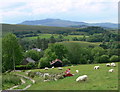 Bodloesygad in the Afon Cynfal valley