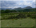 Looking north from the layby on the A470