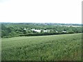 Field of Crops near Treeton