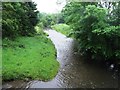 Pendleton Brook (on its way to the River Ribble)