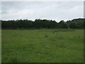 TF0702 : Farmland near Grange Farm by JThomas