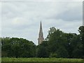 View of the St Matthias Church, Kings Road from Richmond Park #2