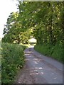 SX6695 : Lane to Trundlebeer by Derek Harper