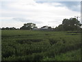 View towards the A614 from Mill Lane