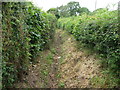 Footpath near Clifford