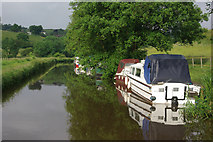 SJ9553 : Caldon Canal, near Denford by Stephen McKay
