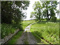 Track to Airy Holm Farm