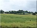 Residence and stables on the A110