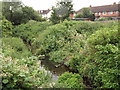 Ewell, Hogsmill River