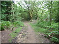 Bridleway marker by Canada Cottages