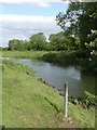 Marker post by the River Bain 