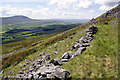 SD7380 : Ruined wall on the flank of Whernside by Roger Templeman