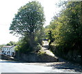 Snail Creep Terrace, Cwmavon