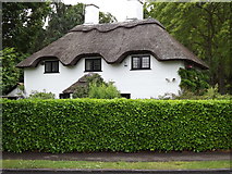 TQ2165 : Thatched Roof by Colin Smith