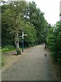 Path across the meadows to Headington