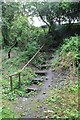 Steps down to Pilley Nature Reserve