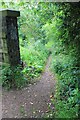 Footpath down to Pilley Nature Reserve