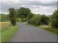 Road between Belchamp Otten and Borley