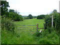 Footpath on the outskirts of Hartfield