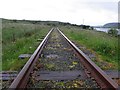 B9101 : Railway track at Barnaghmore by Kenneth  Allen