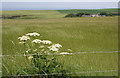 Looking towards Mill of Cullen