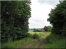 TL4159 : Track to Moor Barns Farm by John Sutton