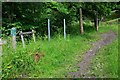 Millennium Nature Trail, Hawick