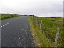 G7787 : Road at Carrickatlieve by Kenneth  Allen