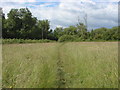 Thorpe Hay Meadow