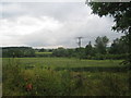 View towards Saundby Park