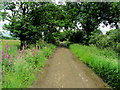 SE2762 : Nidderdale Way by Ten Acre Plantation by Chris Heaton