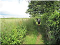 Footpath  leaving  North  Carlton