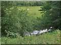 The River Mole, upstream from Brockham