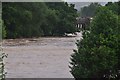 Ottery St Mary : The River Otter