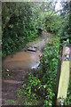 Ottery St Mary : Flooded Footpath