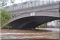 Ottery St Mary : St Saviours Bridge & River Otter