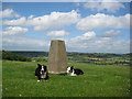 Trig Point, Lollover Hill