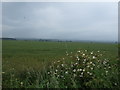 Farmland near West Fleetham