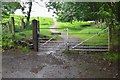 End of the tarmac, Hergest Ridge