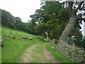 Climbing above Gouthwaite