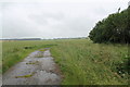 Track to Cliff Farm, off A15