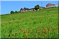 Warren Farm from Minster Way