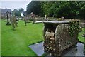 Ottery St Mary : Church of St Mary Gravestones