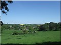 The Jurassic Way approaching Chacombe from the south