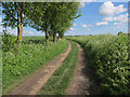 Bridleway to Barsey Farm