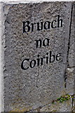 M2925 : Galway - River Corrib Walk - Bruach na Coiribe Stone by Joseph Mischyshyn