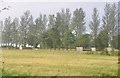 Mid Devon : Horse Track at Gallops