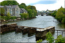 M2925 : Galway - River Corrib Walk - Footbridge, Buildings   by Joseph Mischyshyn