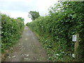 Lane to Oaklands Park estate